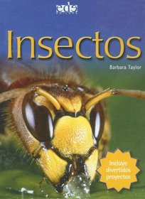 Insectos/ Insects (Coleccion Primeros Conocimientos de Ciencia) (Spanish Edition)