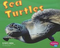 Sea Turtles (Under the Sea)