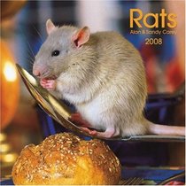 Rats 2008 Square Wall Calendar