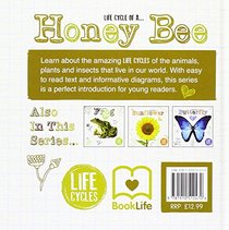 Life Cycle of a Honey Bee (Life Cycles)