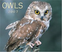 Owls 2007 (Calendar)