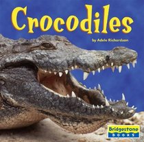 Crocodiles (World of Reptiles)