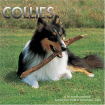 Collies 2009 Wall Calendar