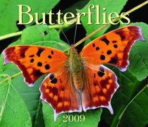 Butterflies 2009 (Calendar)