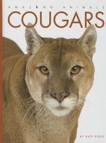 Cougars (Amazing Animals)