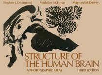 Structure of the Human Brain: A Photographic Atlas