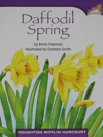 Daffodil Spring