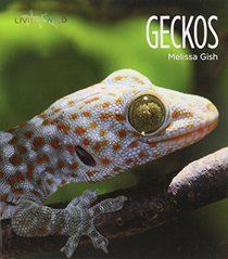 Geckos (Living Wild)