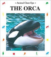 The Orca: Admiral of the Sea (Animal Close-Ups)