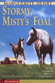 Stormy, Misty's Foal (Misty, Bk 3)
