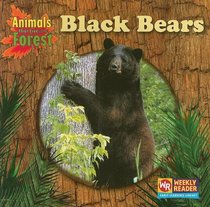 Black Bears (Animals That Live in the Forest)