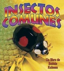 Insectos Comunes/Everyday Insects (El Mundo De Los Insectos / the World of Insects) (Spanish Edition)