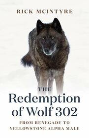 The Redemption of Wolf 302: From Renegade to Yellowstone Alpha Male (The Alpha Wolves of Yellowstone, 3)