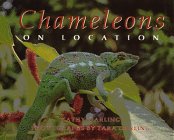 Chameleons: On Location (On Location)