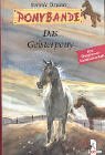Das Geisterpony (Corey and the Spooky Pony) (Pony Tails, Bk 9) (German Edition)