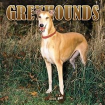 Greyhounds 2005 Wall Calendar