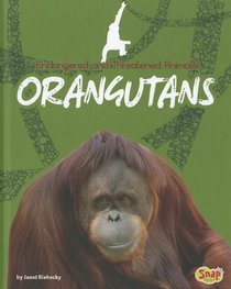 Orangutans (Endangered and Threatened Animals)