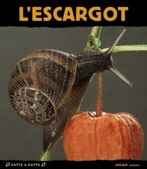 L'escargot paisible dormeur