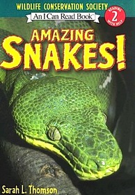 Amazing Snakes