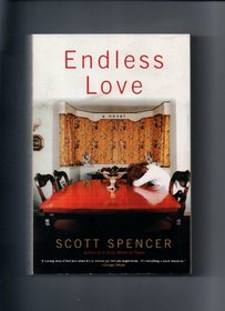 Endless Love A Novel By Scott Spencer