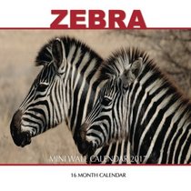 Zebra Mini Wall Calendar 2017: 16 Month Calendar