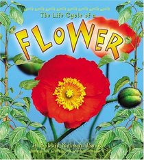 The Life Cycle of a Flower (The Life Cycle, 18)