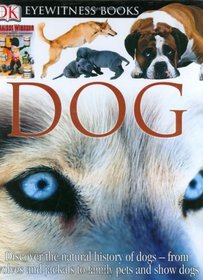 Dog (DK Eyewitness Books)