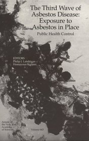 The Third Wave of Asbestos Disease: Exposure to Asbestos in Place : Public Health Control (Annals of the New York Academy of Sciences)