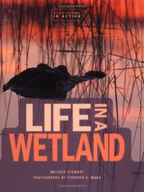 Life in a Wetland (Ecosystems in Action)