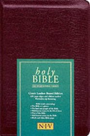 NIV Popular Bible (Bible Niv)