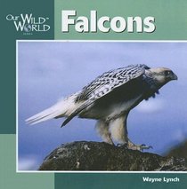 Falcons (Our Wild World)
