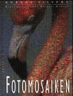 Fotomosaiken (German Edition)