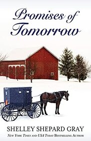 Promises of Tomorrow (Walnut Creek) (Large Print)