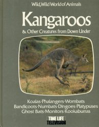 Kangaroos and Other Creatures from Down Under (Wild, Wild World of Animals)