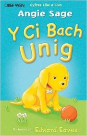 Y Ci Bach Unig (Cyfres Lliw a Llun) (Welsh Edition)