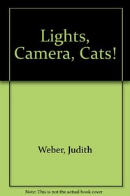 Lights, Camera, Cats!