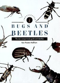 Identifying Bugs and Beetles : The New Compact Study Guide and Identifier