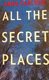 All the Secret Places (Gin Sullivan, Bk 2)