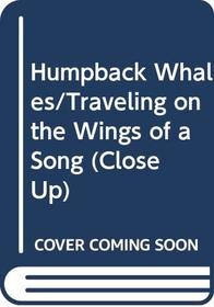 Humpback Whales/Traveling on the Wings of a Song (Close Up)
