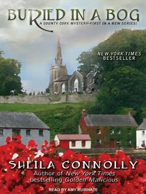 Buried in a Bog (County Cork Mystery)