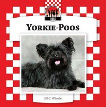 Yorkie-Poos (Designer Dogs Set 7)