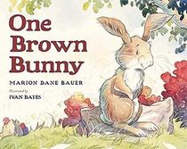 One Brown Bunny
