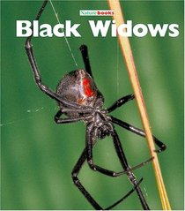Black Widows (Naturebooks)