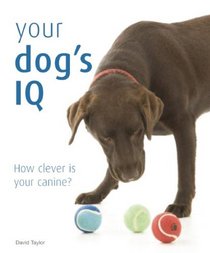 Your Dog's IQ: How Clever is Your Canine?
