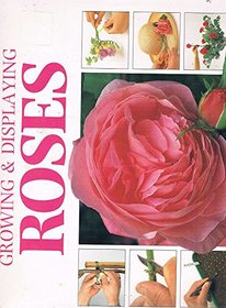 Creative Step by Step Guide to Growing Display Roses