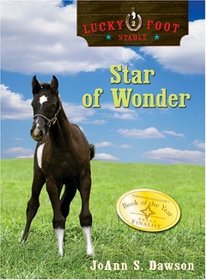 Star of Wonder (Lucky Foot Stables)