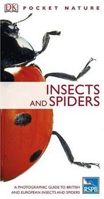 Insects and Spiders (RSPB Pocket Nature)