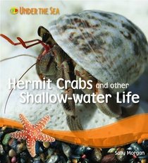 Hermit Crabs and Other Shallow Water Life (Under the Sea)