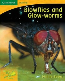 Pobblebonk Reading 4.4 Blowflies and Glow Worms