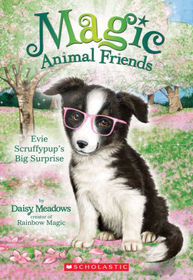 Evie Scruffypup's Big Surprise (Magic Animal Friends, Bk 10)